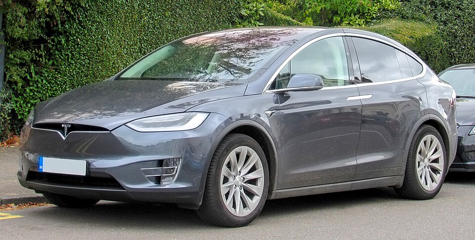 TESLA MODEL X car — UK survivor photo