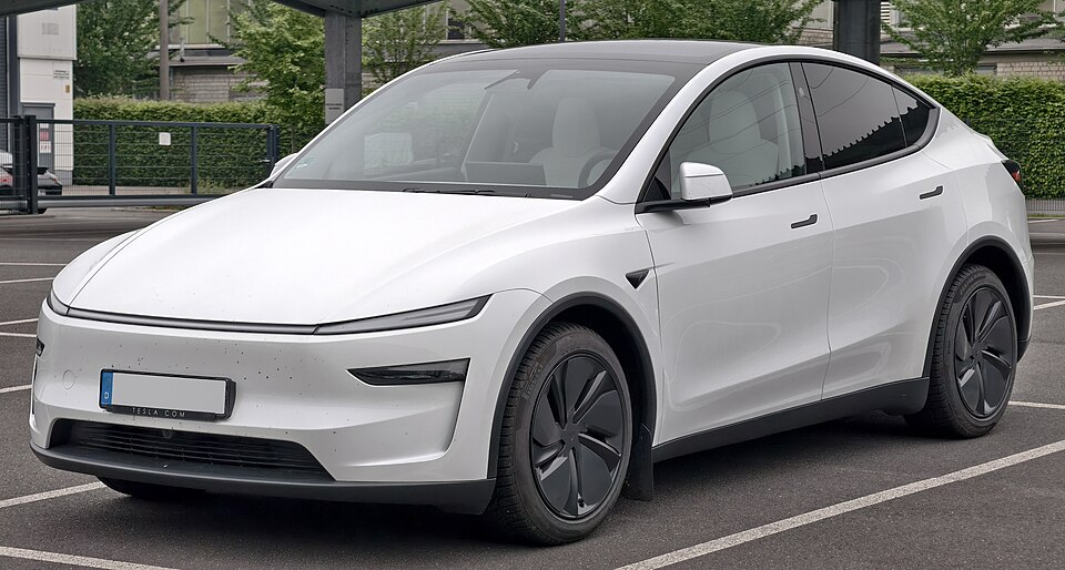 TESLA MODEL Y car — UK survivor photo