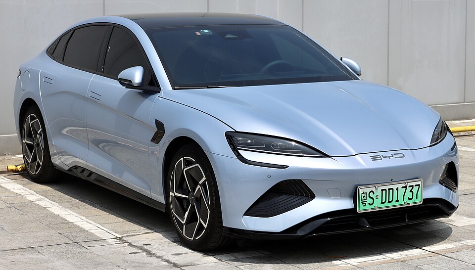 BYD DOLPHIN car — UK survivor photo
