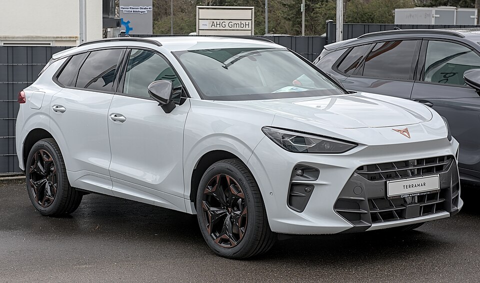 CUPRA ATECA car — UK survivor photo
