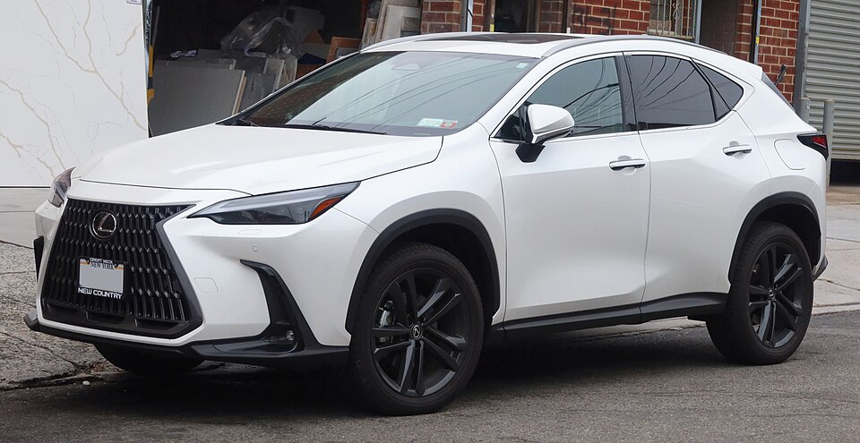 LEXUS NX 300 car — UK survivor photo