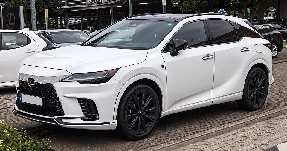 LEXUS RX 300 car — UK survivor photo